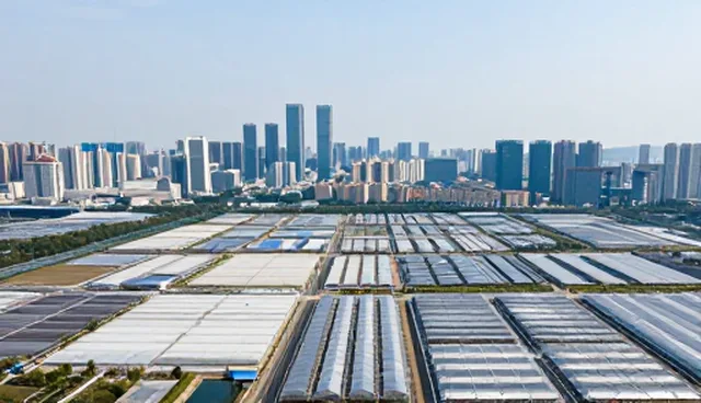 系统实施中检查要点的使用场景与问题分析